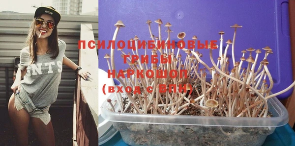 амф Абдулино