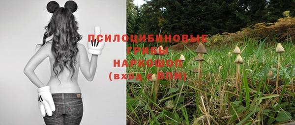 амф Абдулино