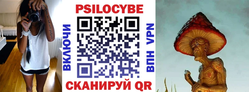 где купить наркоту  Чебаркуль  блэк спрут рабочий сайт  Псилоцибиновые грибы Psilocybine cubensis 